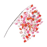 ��������@��}�C���X�g�~�V�_���P�W�T����