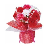 �J�[�l�[�V�������b�v�@�����Q�U�����@�i��