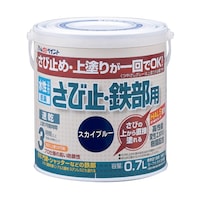 �������ю~�E�S���p�@�O�D�V�k�@�X�J�C�u��