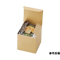 �����^�b�`�M�t�g�{�b�N�X�@�N���t�g�@�P�O