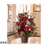 �G���K���g�N���X�}�X���ԃA�����W�����W�O