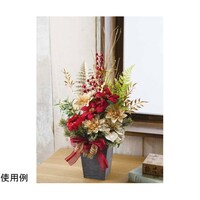 �S�[�W���X�|�C���Z�`�A���ԃA�����W�����U