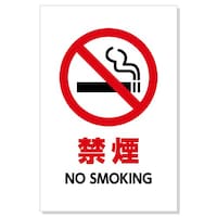 Wu։v@STO~ROO~P@@POȏォ璍\i̔i͂PPʂ̉ij