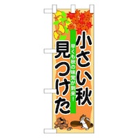 n[t̂ڂUOQSXH