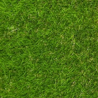 ���A���l�H�Ł@�ŉ�����