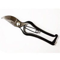 ���l�a�^�������@�Q�O�O����