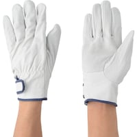 �쐼�@�����C���W���[�A�e�t�@�P�o�@�k�T�C�Y