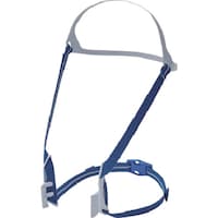 VQ}c@dt@tċzpی@߂ЂT