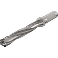 �C�X�J���@���W�b�N�R�J���@�w�b�h�������h�����z���_