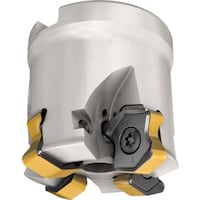 �C�X�J���@���W�b�N�S�t�B�[�h�@�t�F�[�X�~���@�e�e�w