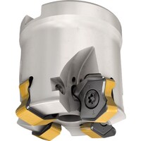 �C�X�J���@���W�b�N�S�t�B�[�h�@�t�F�[�X�~���@�e�e�w