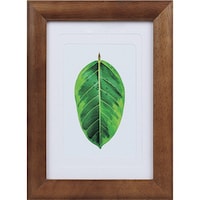 j@PQTOPVR@ʐ^ā@S̖؁@uE@or|fl|aq