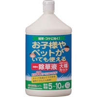 g`[@|̏tV[@Pk