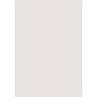 共栄プラスチック PET透明下敷 A4