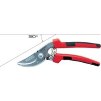 �a�����������@�y���ؔp�ԁz�@�������P�V�S�U�@�P�X�T