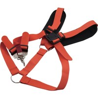 �O�z�����@�����@�p���|���o���h�@�\�t�g�V�����_�[�_