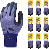 rgnv`@VRSw܁@܂Ƃߔ@mnR