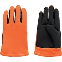 �l�`�w�@�R�O�O���Ή��ϔM���