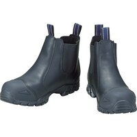 �a���������@�y���ؔp�ԁz�@�a���������@�X�g���C�N�`