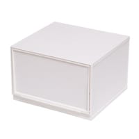 ���[�P�[�X�@�i�`�����@�N���A���W���[���@�v�s�~�Q