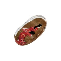 ���u���@�S�����@�����@���Ԃ���l�@���u�@���Ԃ���l