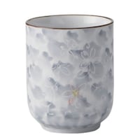 ۂ݁@PVO@nԁ@Rbv@H@aH