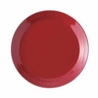 �v���[�g�@�P�U�����@�g�h�m�`�s�`�@����@���b�h