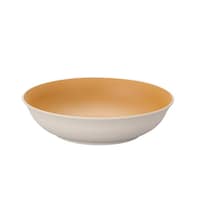 �v���[�g�@�P�U�����@�x�`�l�`�v�`�q�`�t�@�����