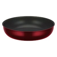 �T�[���X�@�����̂Ƃ��t���C�p���@�Q�W����