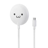 ���C�����X�[�d��@���΁@�p���Q�@�P�T�v�@���낿���