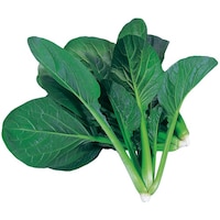 ���k�͔|���j�b�g�@�x�r�[�R�}�c�i�@���U�ȏォ�璍���\�i�̔����i�͂P�P�ʂ̉��i�j