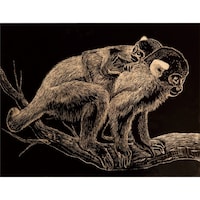 �S�[���h�X�N���b�`�{�[�h�@���^���b�N�t���[���t�@���T�ȏォ�璍���\�i�̔����i�͂P�P�ʂ̉��i�j