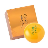 @݂̐@TO@UQ|OXQX|WQ@P