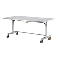 �X�e�����X��Ƒ�