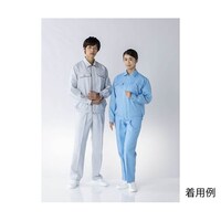 �d�r�c�΍�㒅�@�O���[�~�G���W�@�r�@�i�f