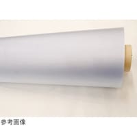 �I�J���g�o�C�I