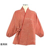 ���Ў��U�炵�@���ߒ��@��@�I�����W�@�l�@�j�R�V�R�Q�@�U�O�|�T�U�U�U�|�S�U�@�P��