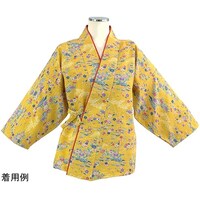 �F�T������@���ߒ��@��@�_�[�N�C�G���[�@�l�@�n�c�Q�O�T�@�U�O�|�T�U�U�U�|�U�T�@�P��