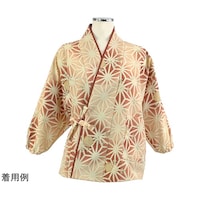 ���̗t�ڂ����@���ߒ��@��@�_�[�N���b�h�@�k�@�n�c�U�S�T�@�U�O�|�T�U�U�U�|�X�P�@�P��