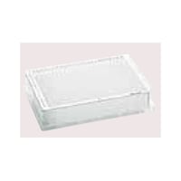 c@o@RWS^QOOʂkC@EFC@QOOʂkC@obq@C@SOiT܁~Wj@@OORO@TQPDPOQ@PpbN