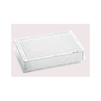 c@o@RWS^QOOʂkC@EFC@QOOʂkC@rC@SOiT܁~Wj@@OORO@TQQDPOX@PpbN