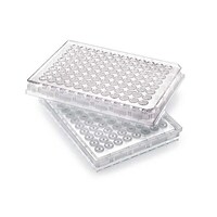 �l�`�h�o�r�S�T�P�O�@�l�t�k�s�h�r�b�q�d�d