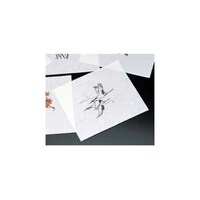 �N�x�ێ����i�P�O�O�����j�l�R�O�|�O�W�X�@�߁@�R�Q�V�P�X�O�O�@�P�g