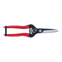 �R�O�O�k�v�|�a�o�@�؉����@�ЍL