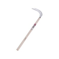 �X�e�����X���������@�Q�P�O�����@�Q�ڕ��@���R�Q�P�O�@���R�Q�P�O�@�P��