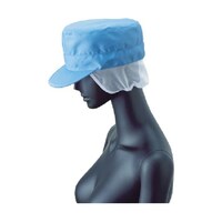 �e�g�T�P�T�V�@�L���b�v�P�[�v�t�@�t���[