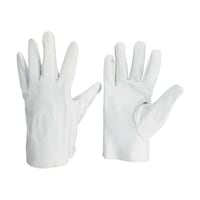 �l�s�P�S�a�t�s�`�v�@�ؕ\�v���