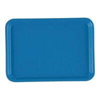 �J���g���[�i�e�q�o�j�@�z���C�]���u���[�@�T�V�@�P��