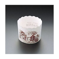 �v�l�g�Q�P�@�}�t�B���J�b�v�n�E�X����