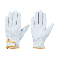 �b�f�V�P�W�l�@���{�v��܁@�l